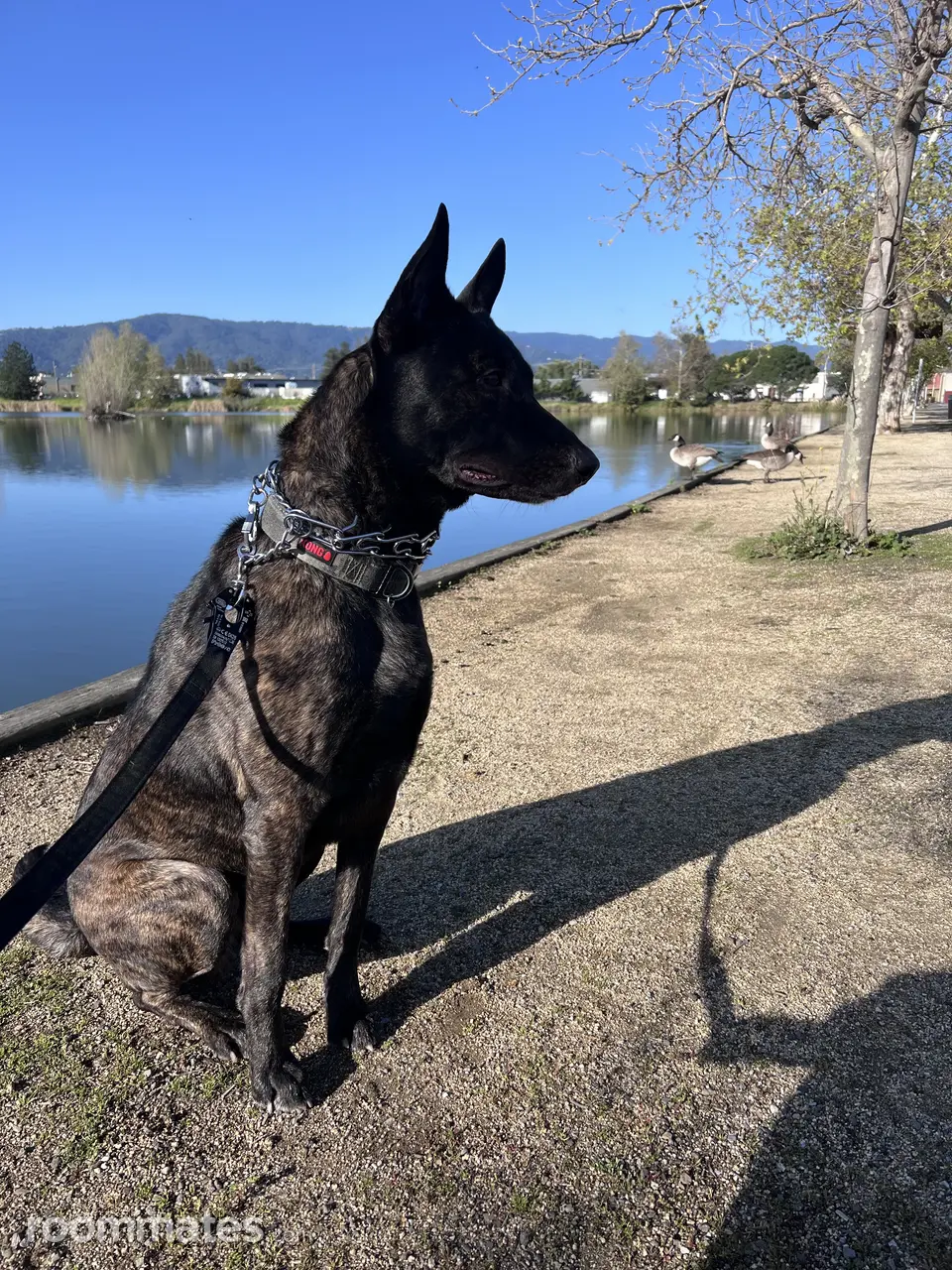 Profile photo 3 of 3