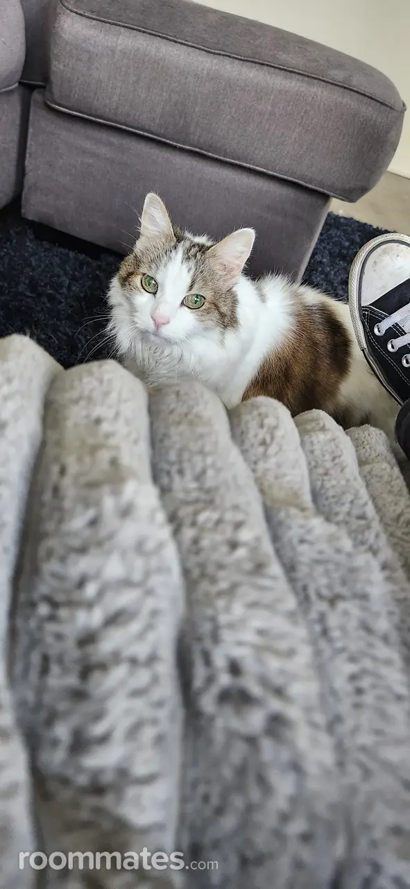 Profile photo 10 of 14