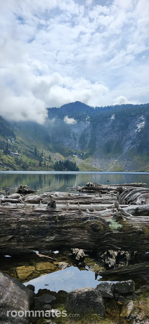 Profile photo 11 of 14