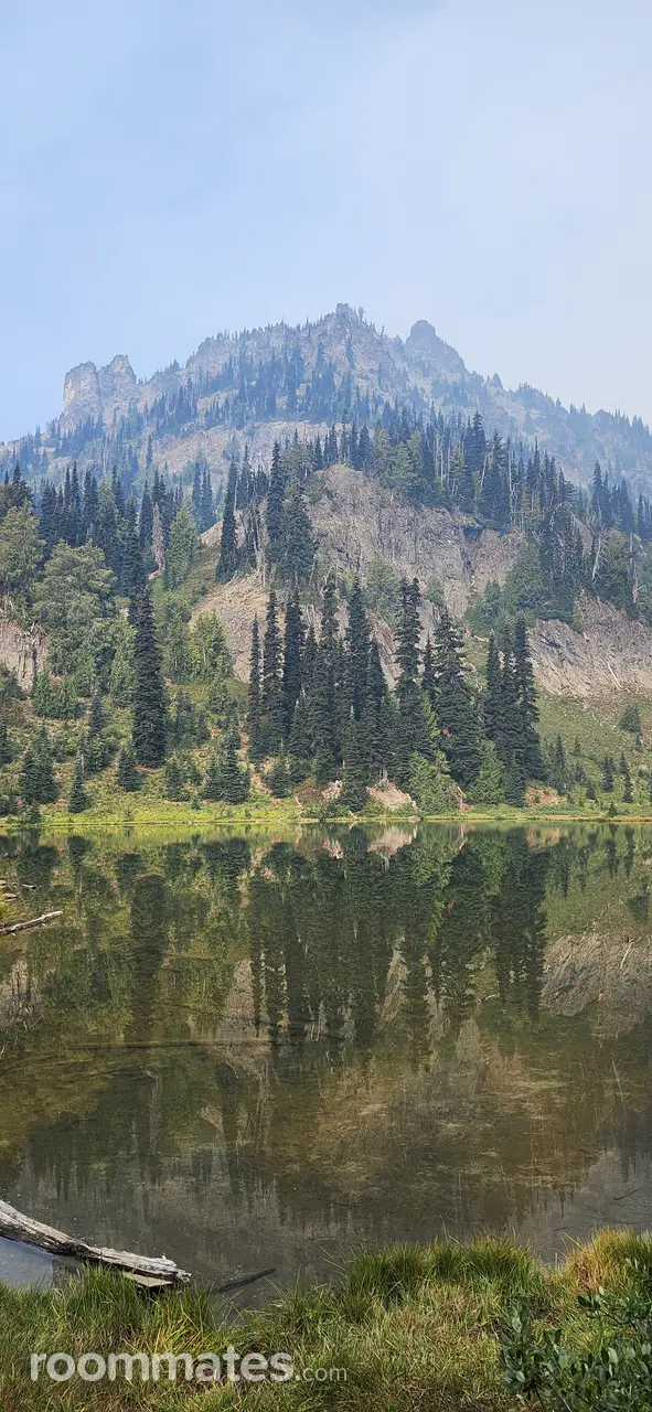 Profile photo 12 of 14