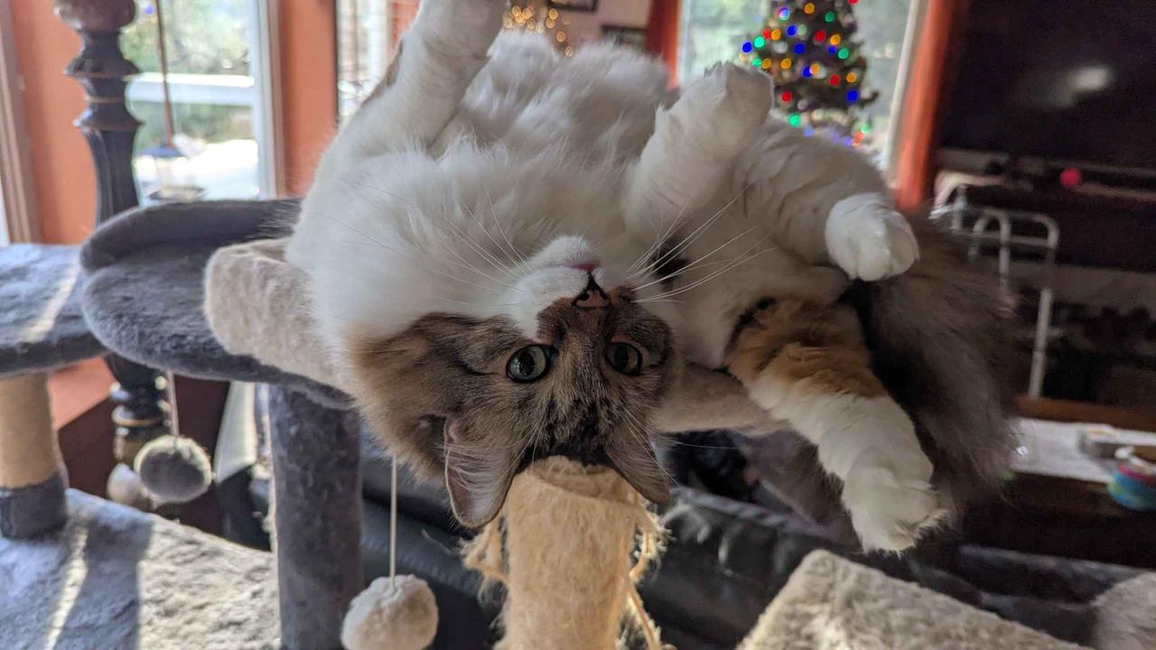 Profile photo 14 of 14