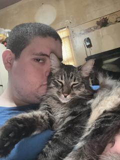 Roommate looking Colorado City, CO, Owasso, OK, Oklahoma City, OK, $600