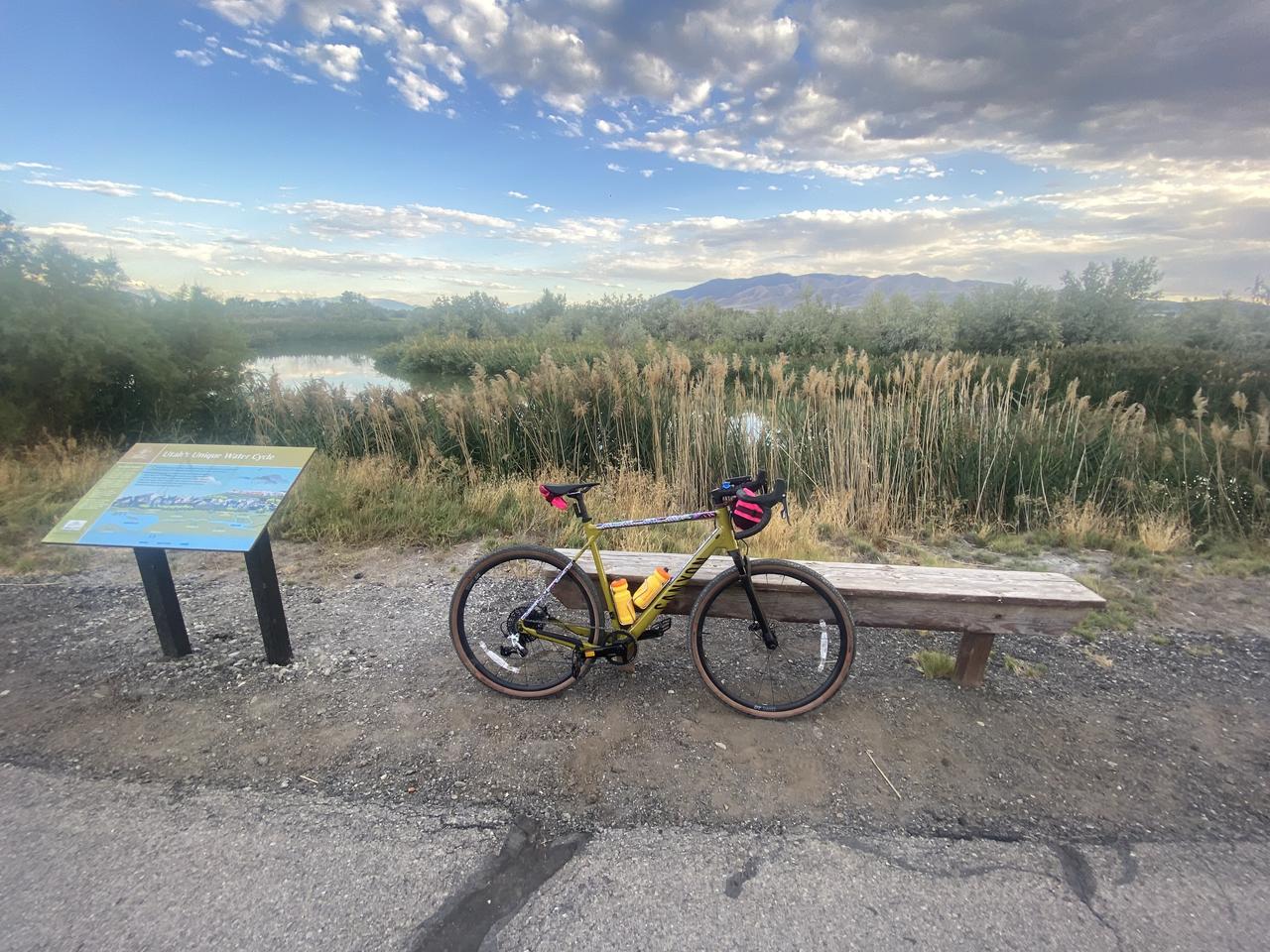 Profile photo 14 of 15