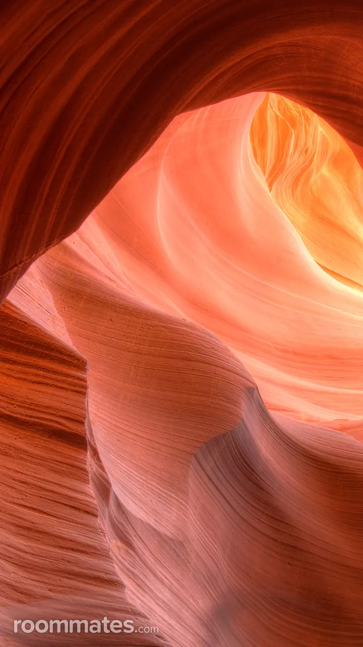 Profile photo 9 of 9