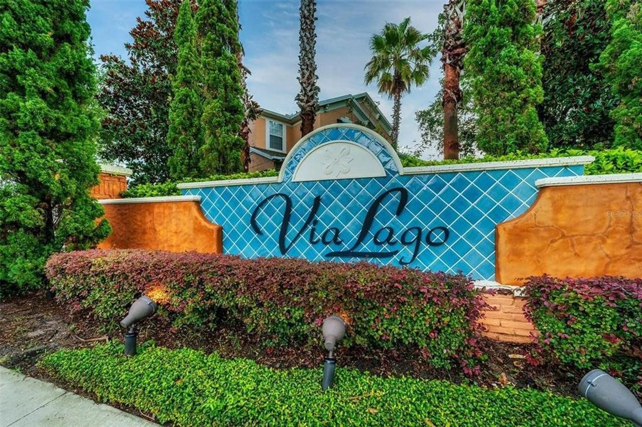 Profile photo 6 of 12