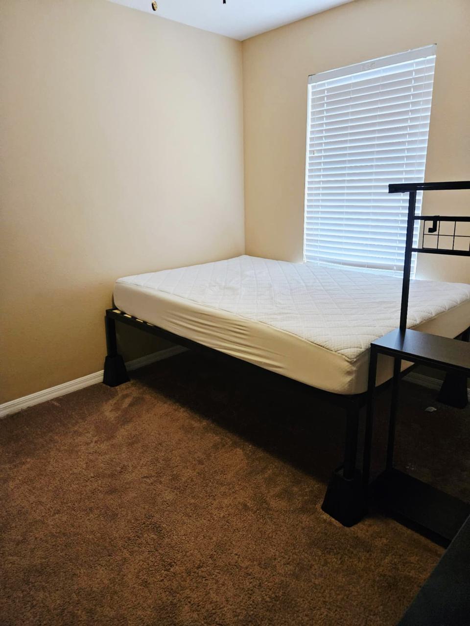 Profile photo 4 of 12