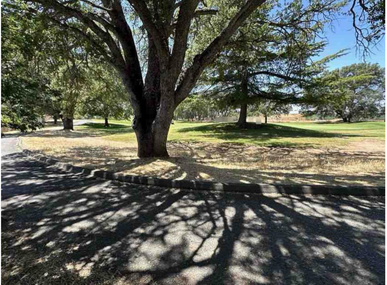 Profile photo 4 of 10