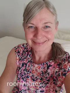 Roommate looking Jacksonville, FL, $500