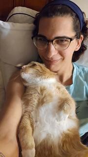 Roommate looking West Chester, PA, $900