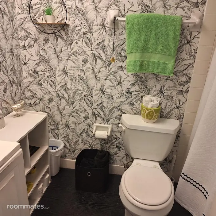 Room for rent in St. Petersburg, FL $1000, condo