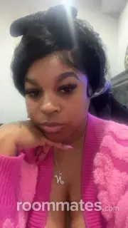 Roommate looking Philadelphia, PA, $1100