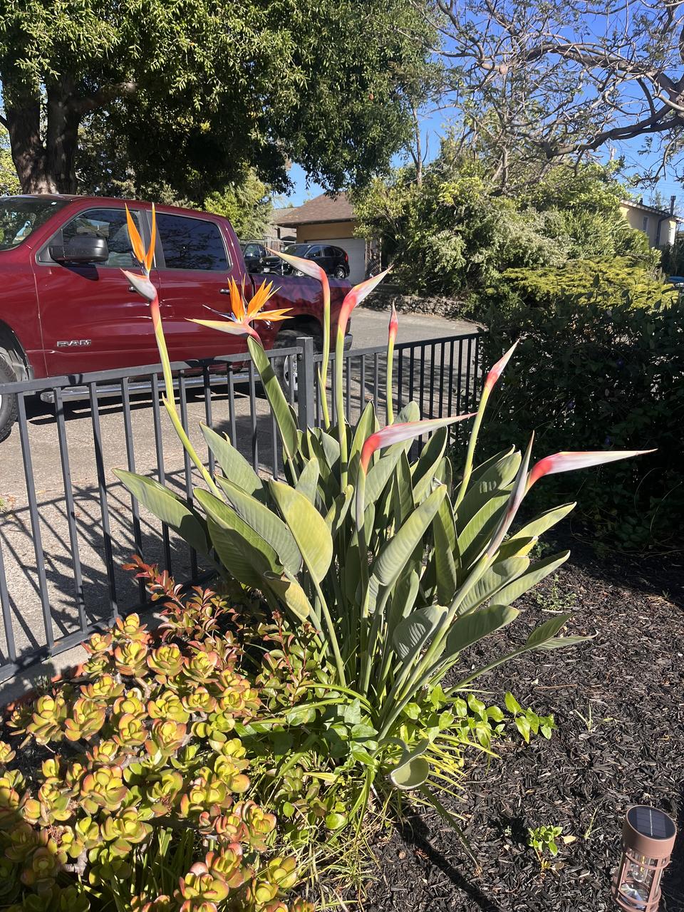 Profile photo 14 of 16