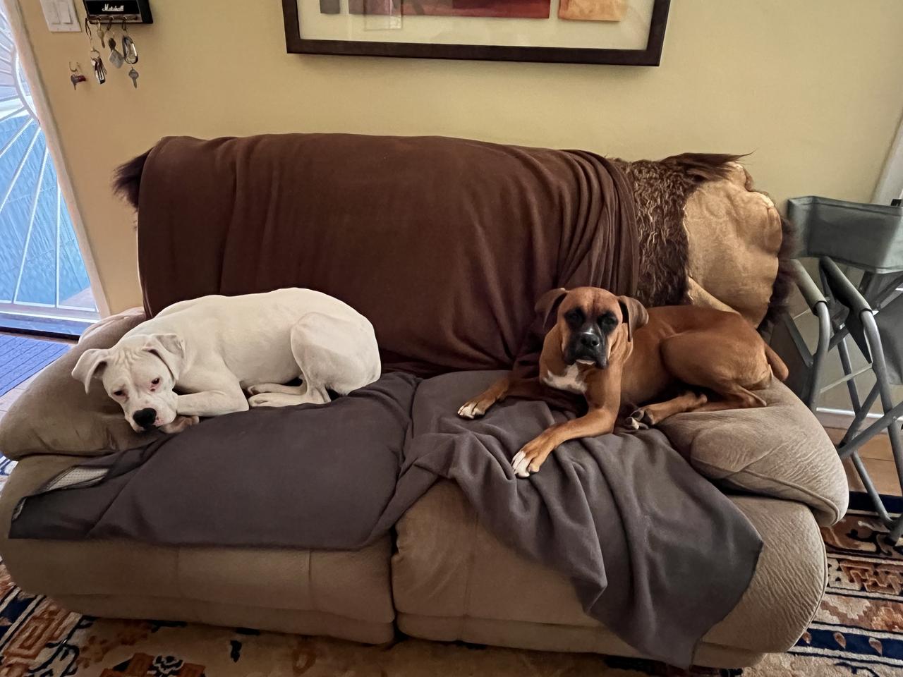 Profile photo 11 of 16