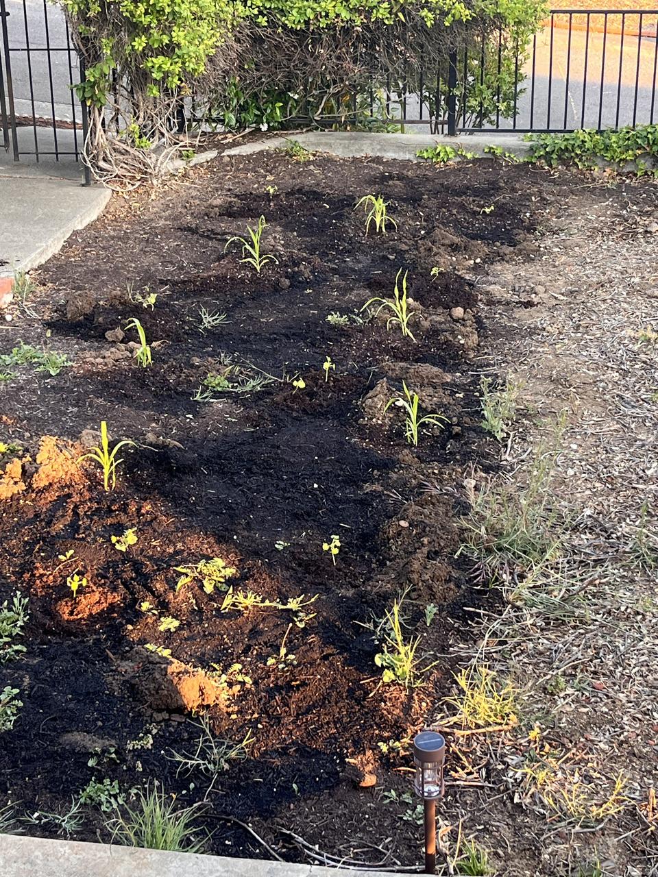 Profile photo 4 of 16