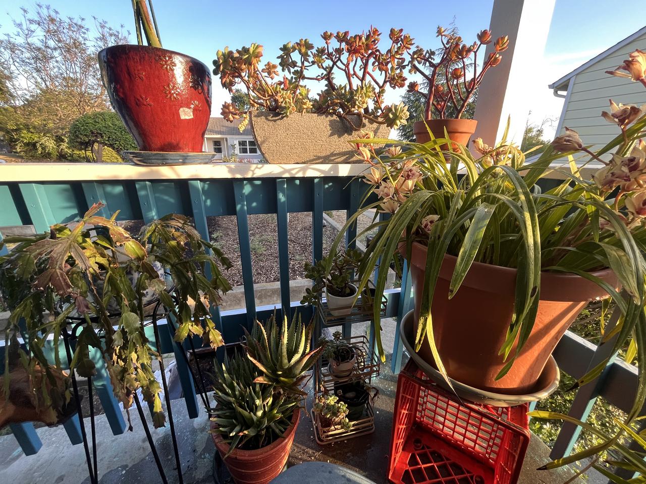 Profile photo 3 of 16