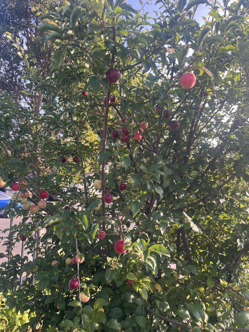 Profile photo 5 of 16