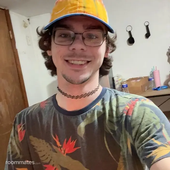 Roommate looking Warren, OH, $700