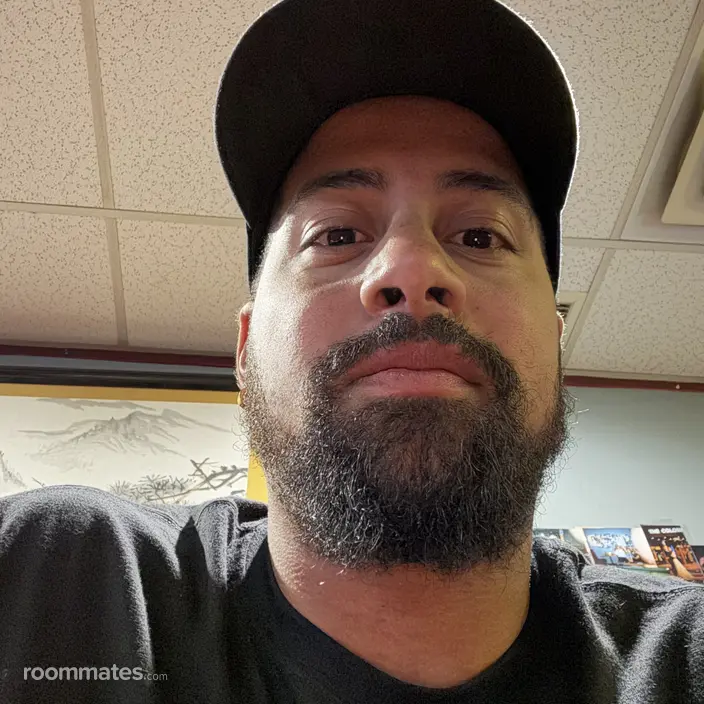 Roommate looking Worcester, MA, $1300