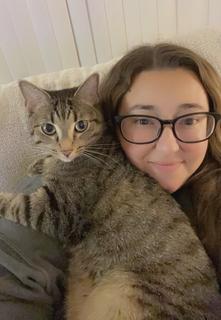 Roommate looking Mesa, AZ, $1000