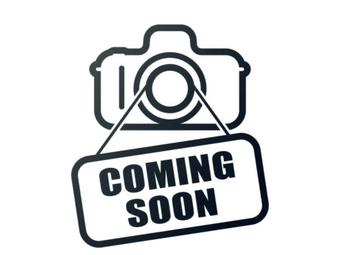 Room for rent in Phoenix, AZ $1000, house