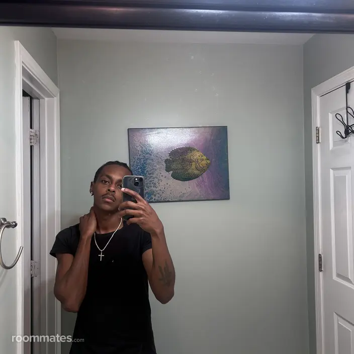 Roommate looking Decatur, GA, $900