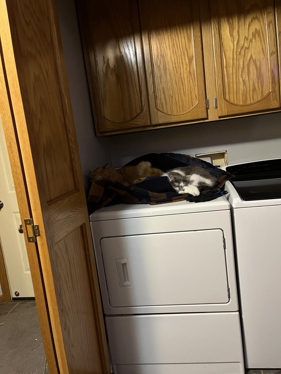 Profile photo 4 of 8