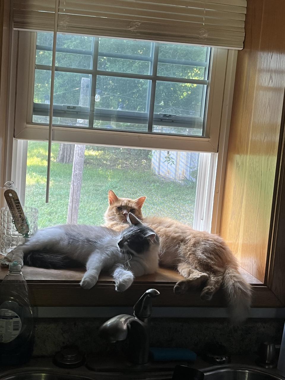 Profile photo 3 of 8