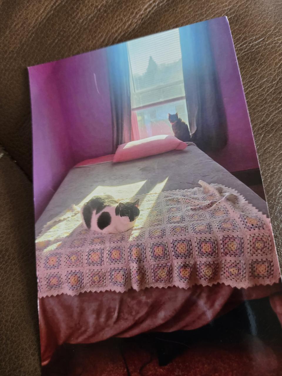 Profile photo 4 of 5