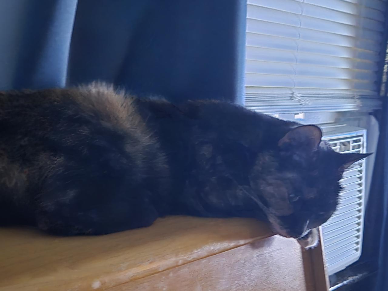 Profile photo 5 of 5