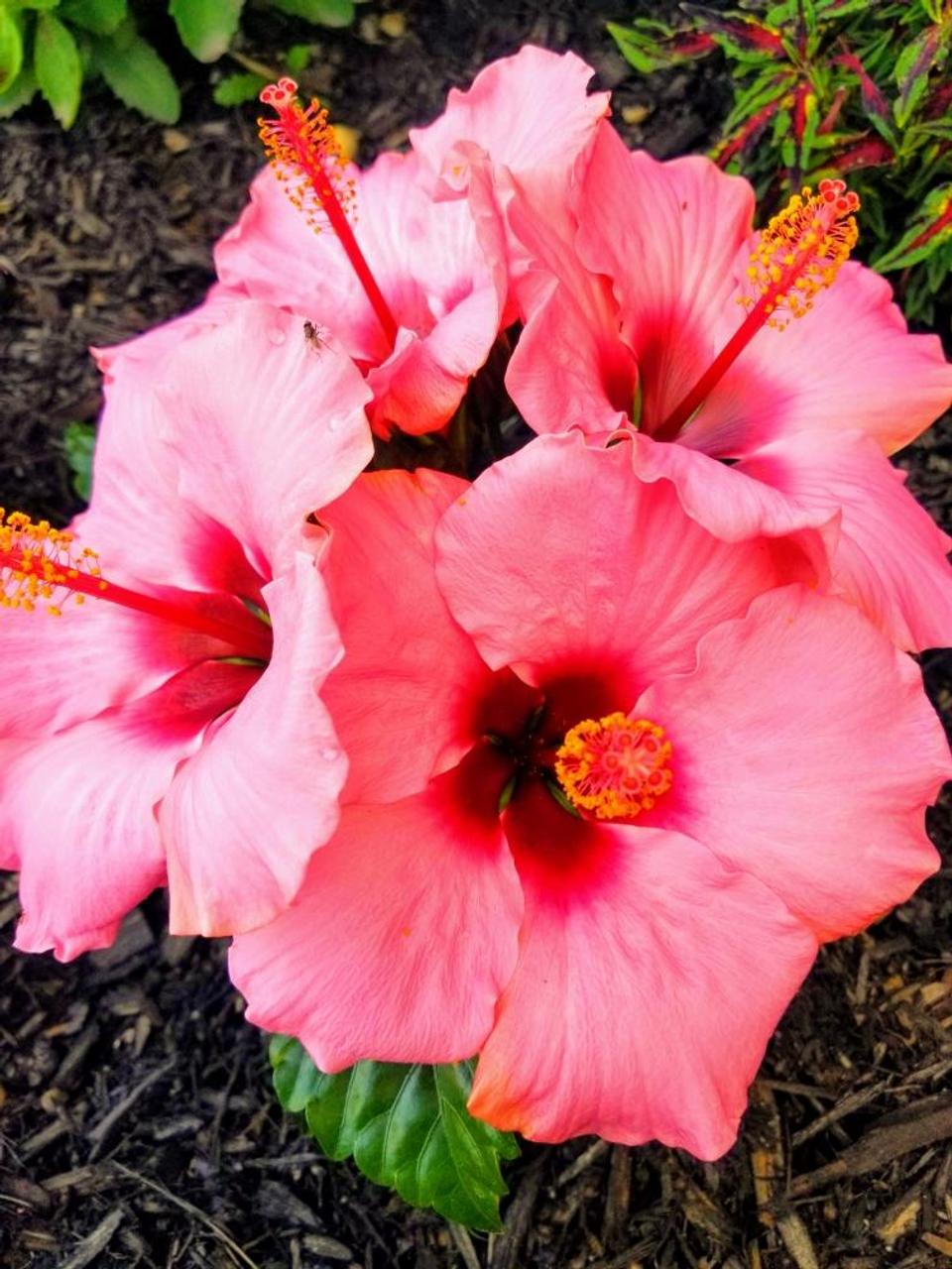 Profile photo 10 of 10