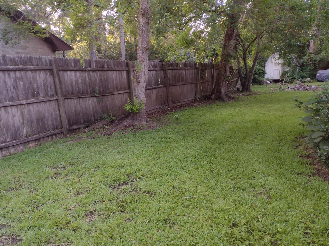 Profile photo 6 of 11