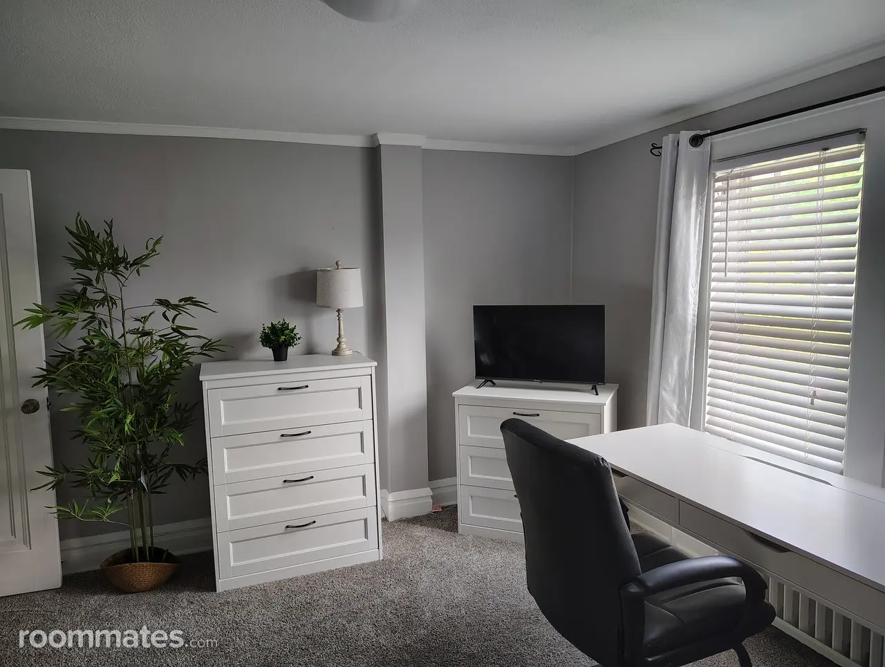 Profile photo 2 of 4