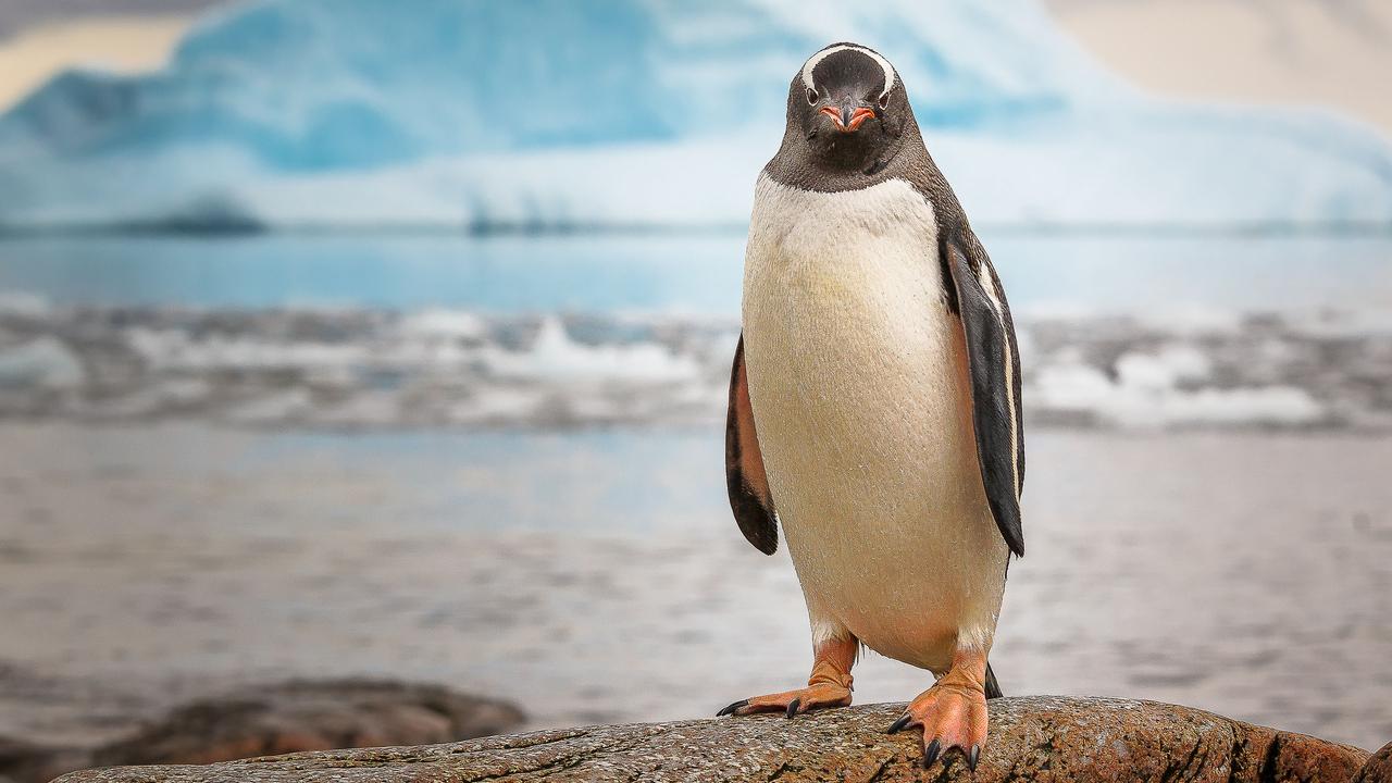 Profile photo 4 of 4