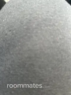 Room for rent in Birmingham, AL $750, house