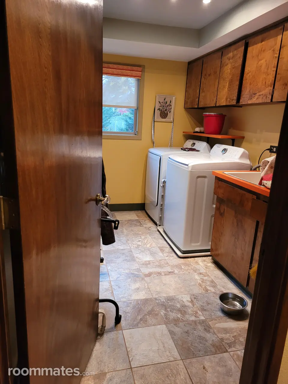 Profile photo 3 of 11