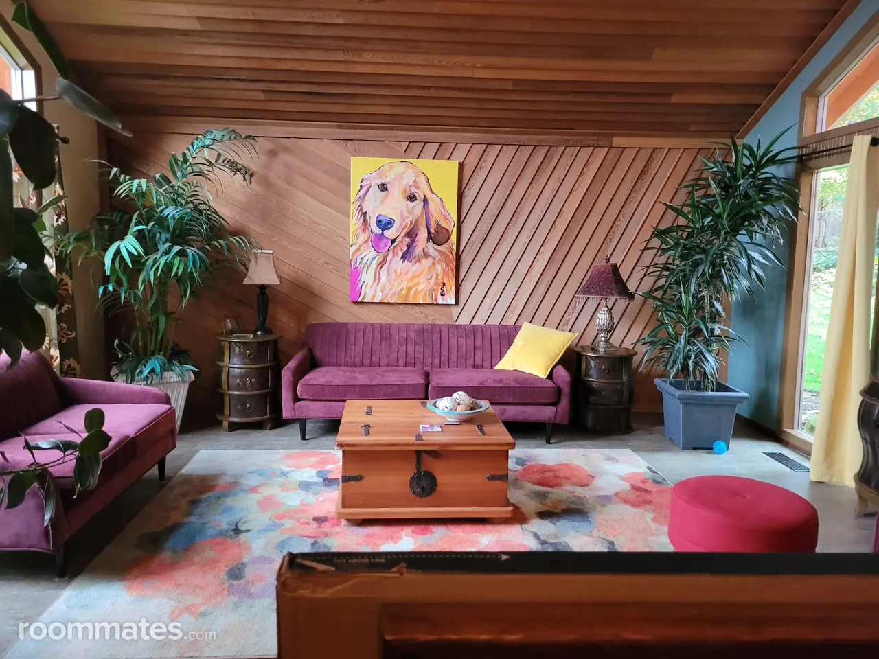 Profile photo 9 of 11