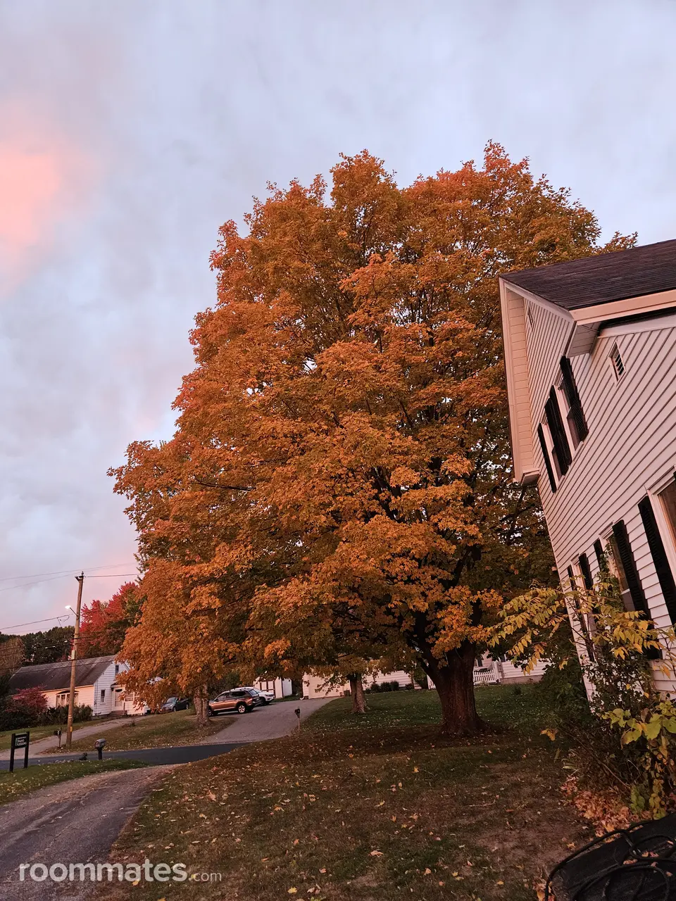 Profile photo 10 of 11