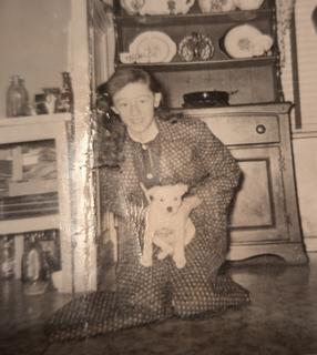Roommate looking Woodstock, GA, $800
