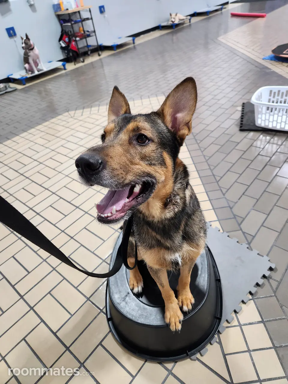 Profile photo 14 of 14