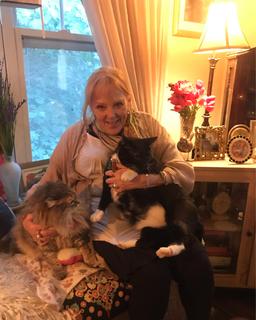 Roommate looking Black Mountain, NC, $800