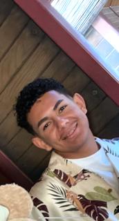 Roommate looking Houston, TX, $1100