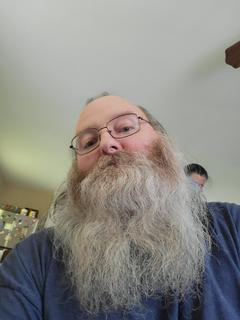 Roommate looking Houston, TX, Houston, TX, $900