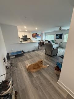 Room for rent in Towson, Maryland $1000, apartment