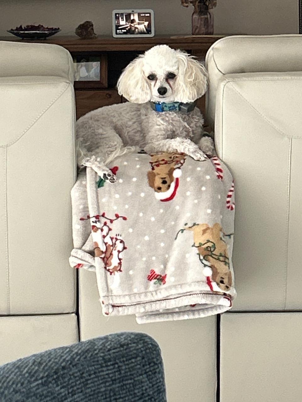 Profile photo 3 of 7