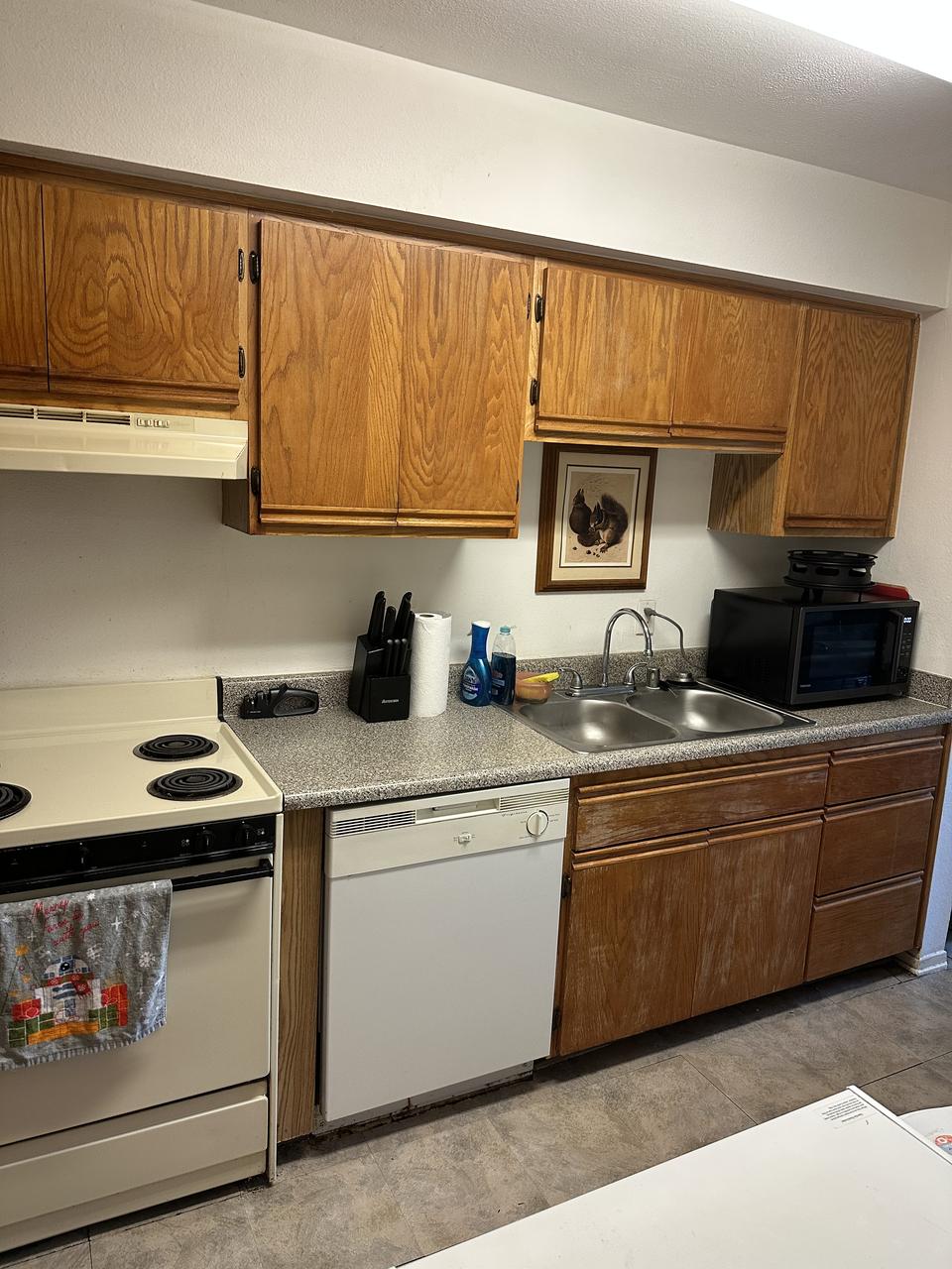 Profile photo 3 of 11