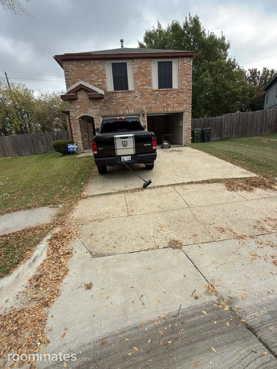 Profile photo 5 of 12