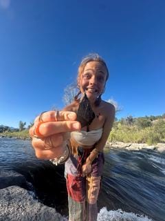 Roommate looking Fort Collins, CO, $900