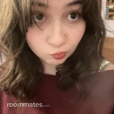 Roommate looking Sandy, OR, $900