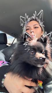 Roommate looking Watsonville, CA, $500