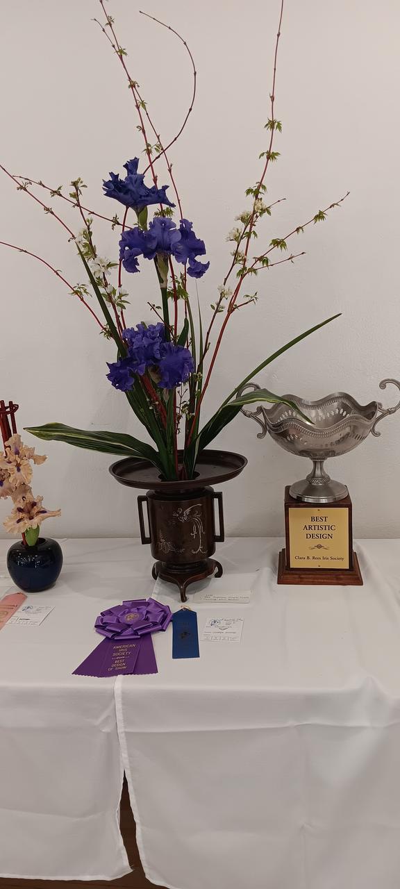 Profile photo 11 of 17